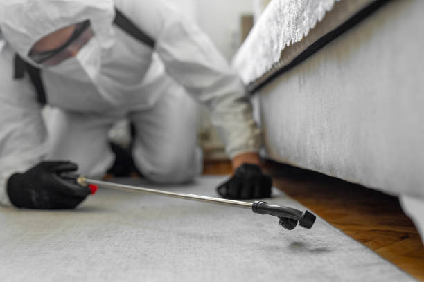 Professional Termite Control technician working in Old Hill, CT