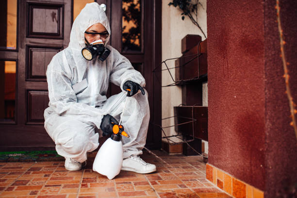 Reliable Termite Control contractor in Old Hill, CT by Nex Pest Control